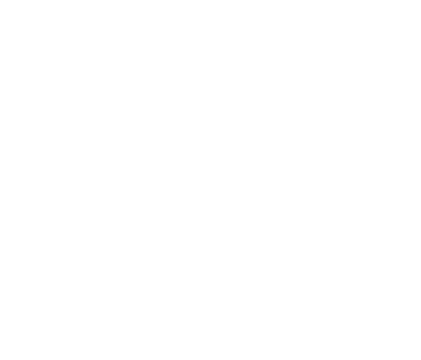 Tailored Racer Game Logo