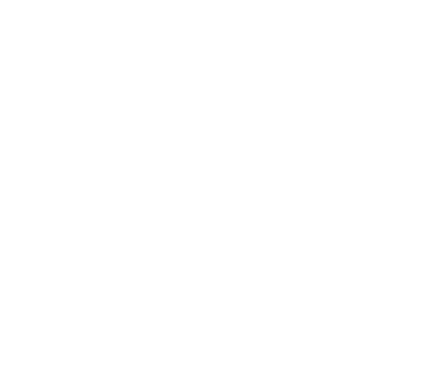 Tailored Racer Game Logo