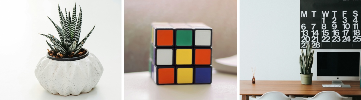 Plant, Puzzle, and Calendar as Desk Gift Ideas for Office Staff