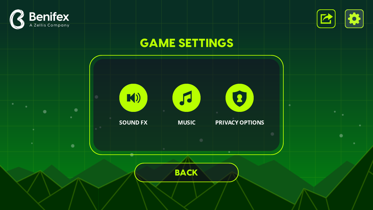 Benifex Branded Flyer Game Settings